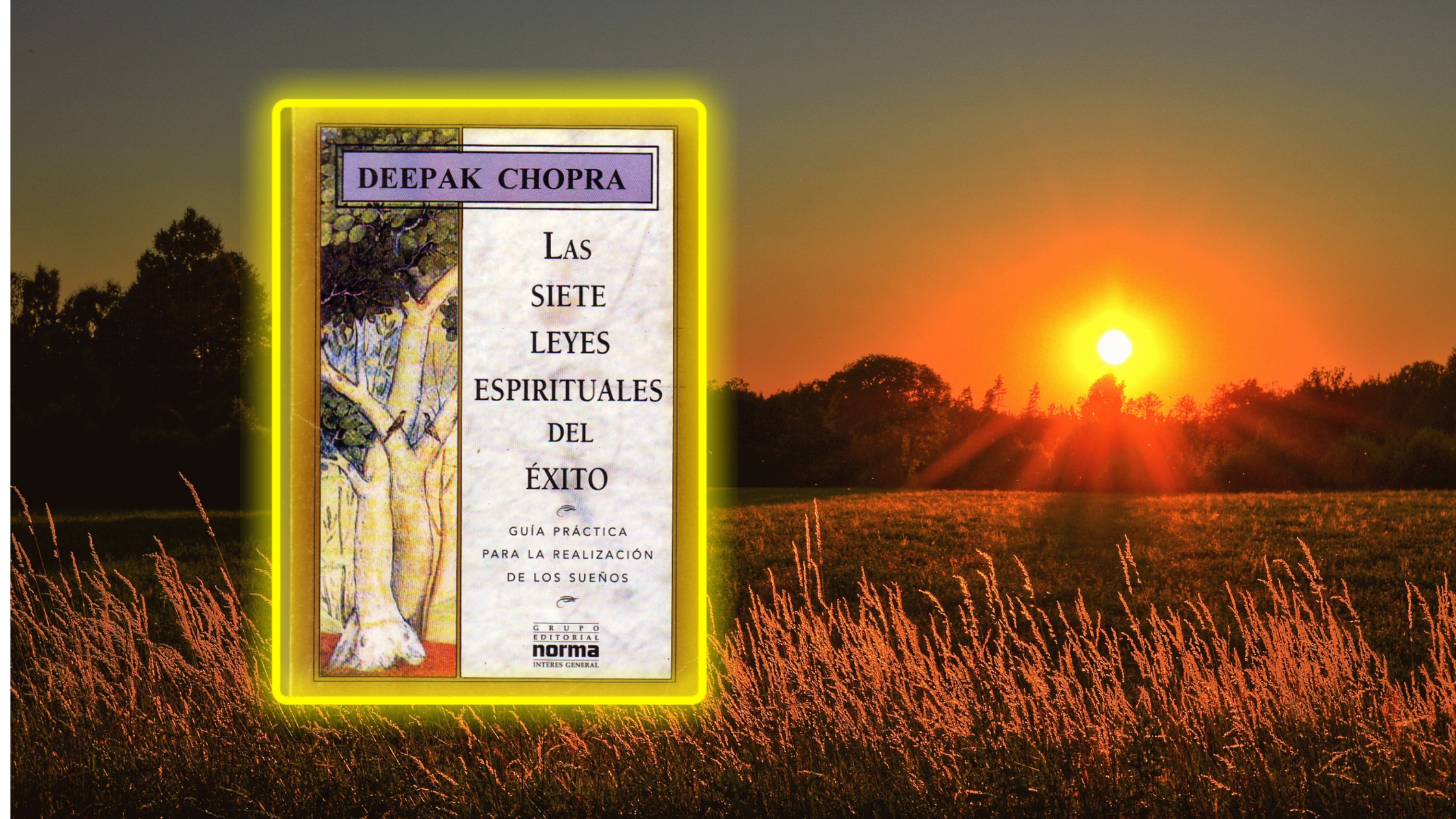 Las Siete Leyes Espirituales del éxito, Deepak Chopra