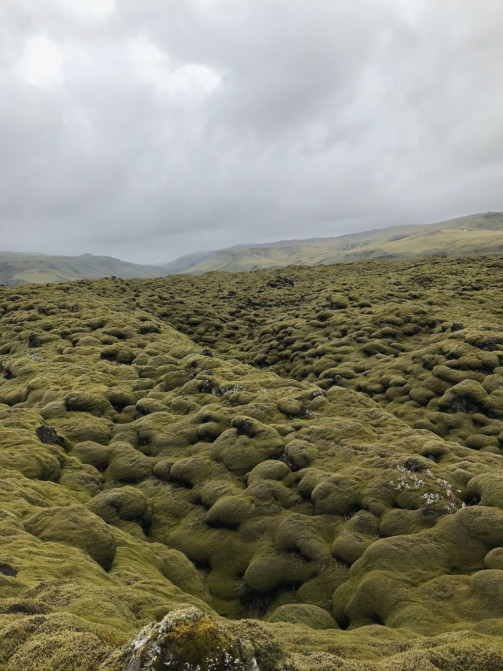 Eldhraun desierto lava Islandia